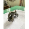 wooden elephant on wheels 3
