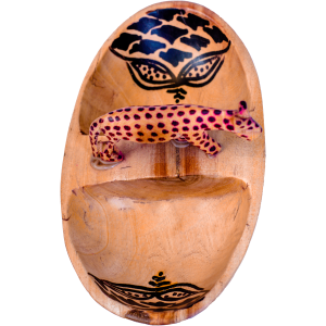 Oval Bowl with Two Compartments & Cheetah Figurine